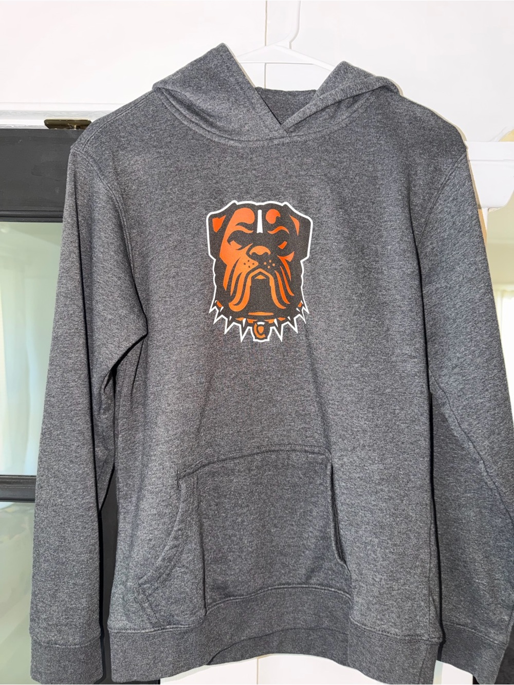 Cleveland Browns Youth Hoodie (Size L)
